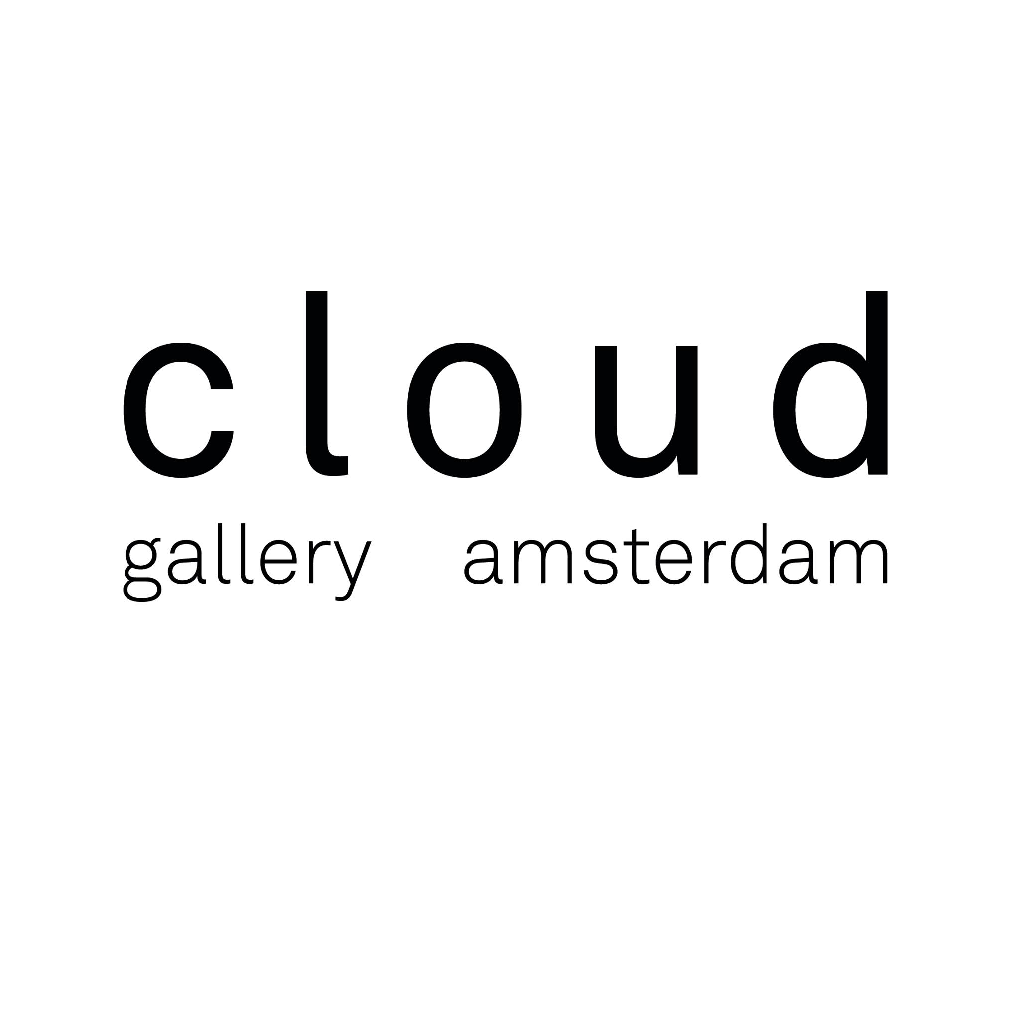 Cloud Gallery Amsterdam Amsterdam Local Birds